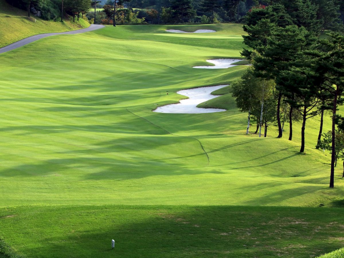 A lush green golf course with sand bunkers and surrounding trees under natural daylight.