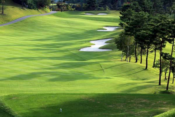 A golf course with neatly manicured grass, sand bunkers, and trees lining the fairway under a clear sky ends the scene.